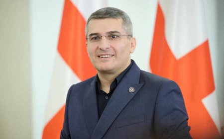 მამუკა მდინარაძე რუსეთთან დიპლომატიური ურთიერთობების შესაძლო აღდგენაზე - ვიდრე საქართველოს ტერიტორიები არის ოკუპირებული, მსგავს საკითხებზე ჩვენი მხრიდან პოზიტიური პასუხი ვერ იქნება
