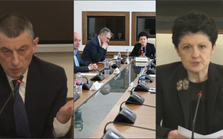 გიორგი გახარია თეა წულუკიანს: "ოკუპანტებისთვის ბოდიშის მოხდა რომ გადაწყვიტეთ, ეს იყო ვინმესთან შეთანხმებული? "მეილი“ არსებობს?"